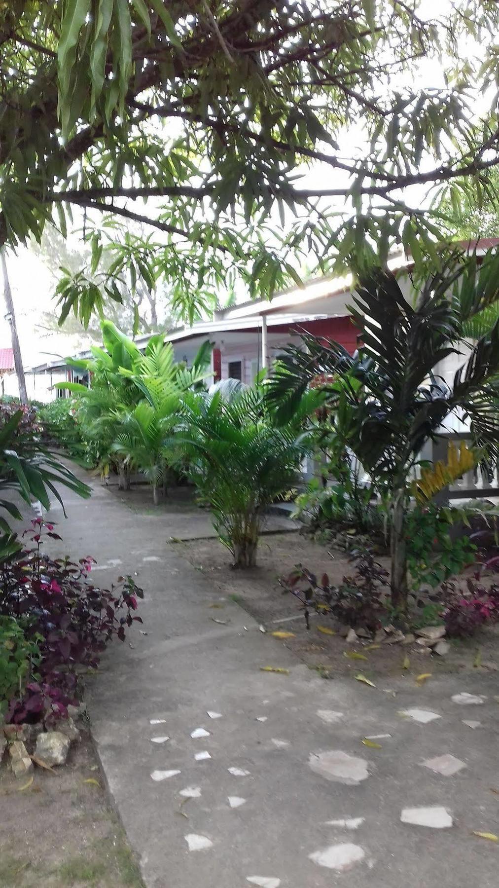 Roots Bamboo Beach Resort Negril Exteriör bild